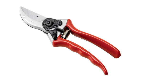 Ausonia 31070 Škarje za obrezovanje trte 21 cm profi