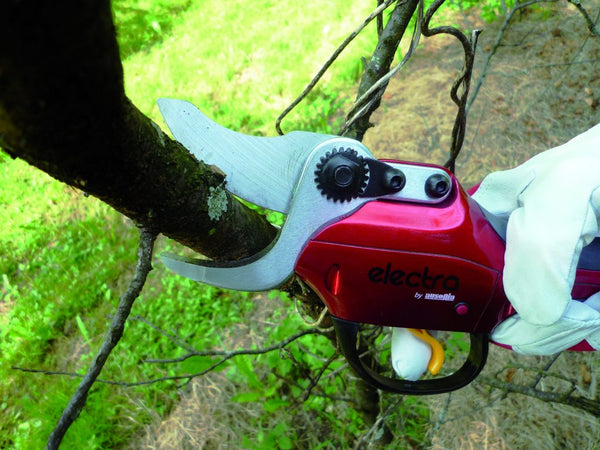 Ausonia 36858 Zgornje rezilo za baterijske škarje Electra 31802