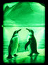 Zippo vžigalnik 46014 Penguins, Glow in the Dark