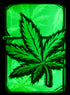 Zippo vžigalnik 46253 Glowing Cannabis