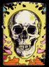 Zippo vžigalnik 48640 Psychedelic Skull