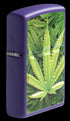 Zippo 49790 vžigalnik Cannabis, Purple Matte
