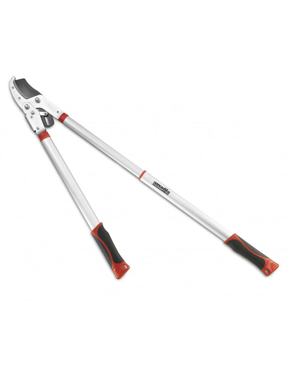 Ausonia 35081 Škarje za obrezovanje, teleskopske