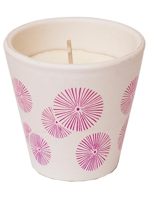 Roura 340229.085 Citronela Verbena v keramični posodi