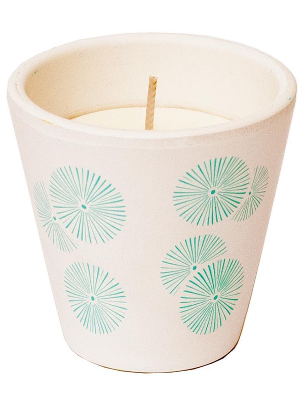 Roura 340229.085 Citronela Verbena v keramični posodi