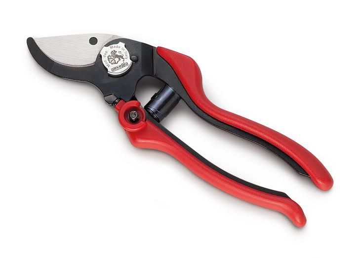 Ausonia 31082 Škarje za obrezovanje Evo 2, 19.5 cm